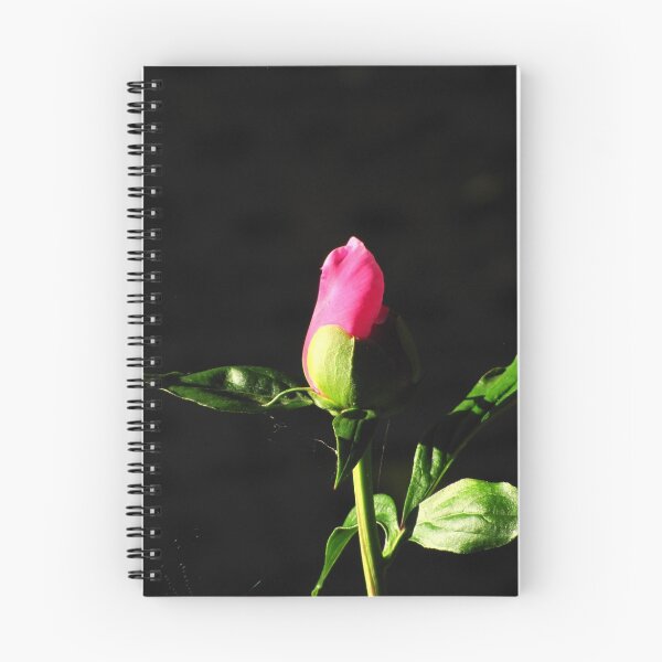 Item preview, Rose Bud designed and sold by David D. Shaw.