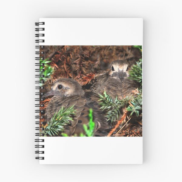 Item preview, Dove Babys designed and sold by David D. Shaw.