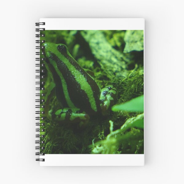 Item preview, Frogs designed and sold by frogs123.