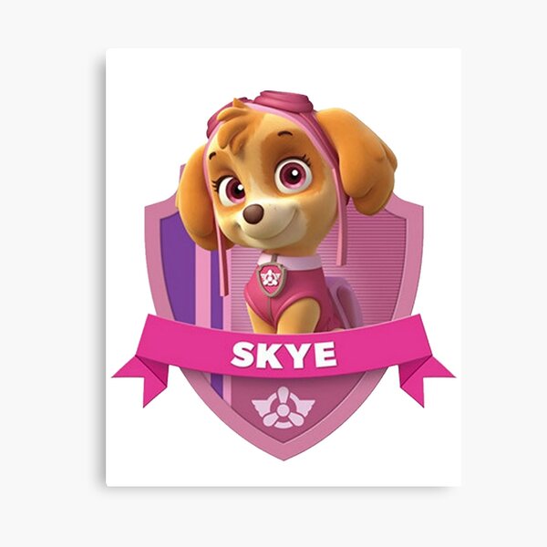 Paw Patrol's Skye, Chase, Marshall, and Rubble Best Baby Pup Episode  Compilation! 