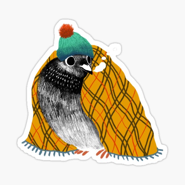Cozy Pigeon Sticker