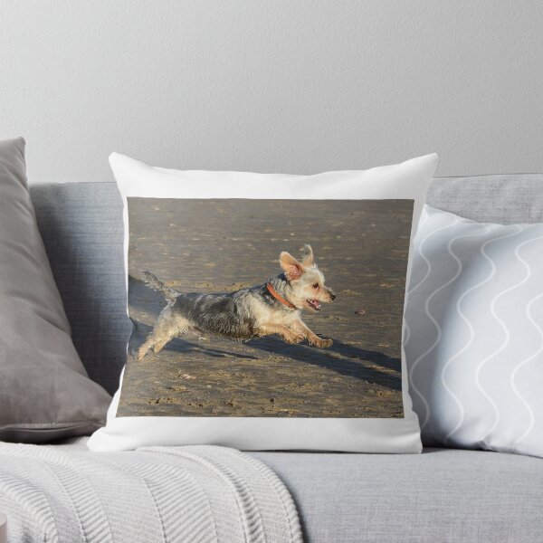 Item preview, Yorkshire Terrier running on the beach at Camber Sands designed and sold by Holmewood.