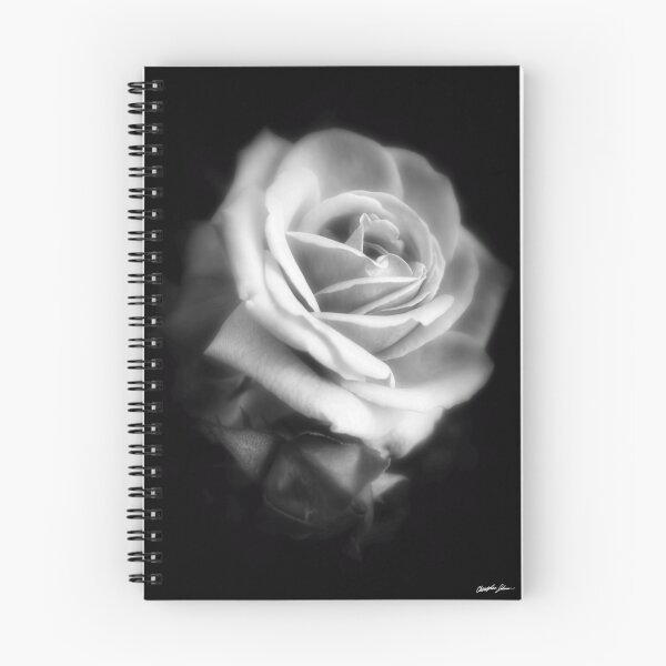 Item preview, Pink Roses in Anzures 2 Dark designed and sold by TravelPhotoArt.