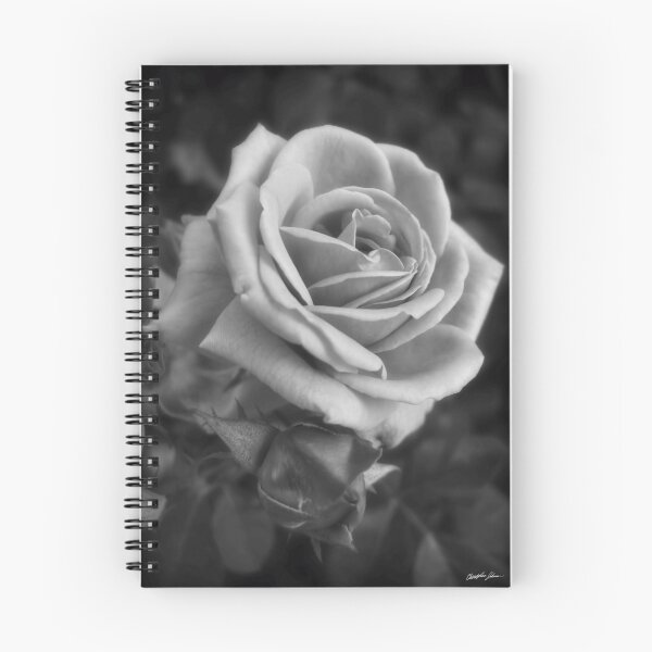 Item preview, Pink Roses in Anzures 2 B&W designed and sold by TravelPhotoArt.