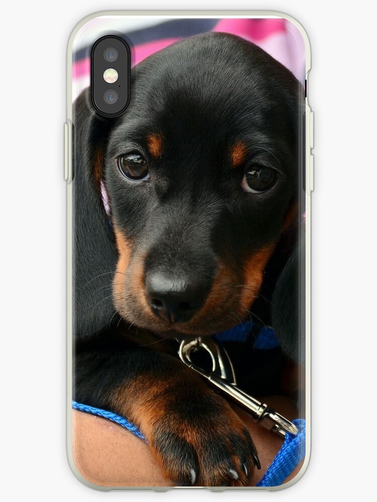 iphone xs dog case iphone xs dog case