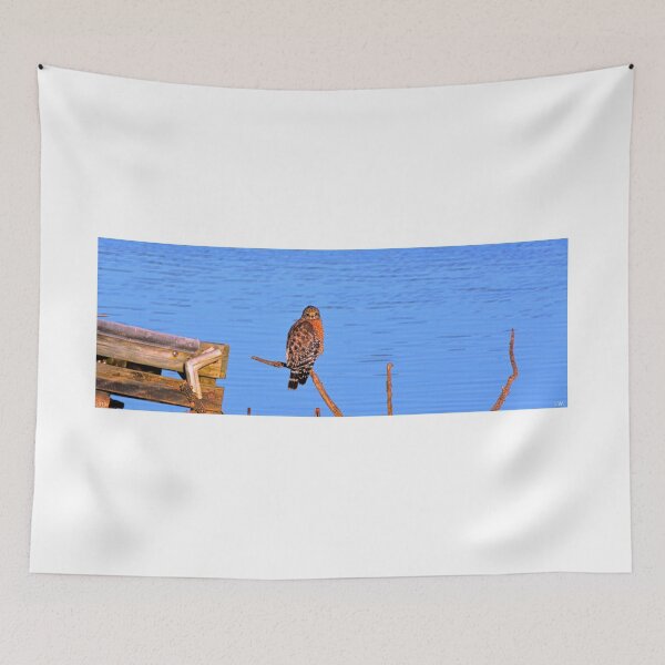 Item preview, Red Shouldered Hawk On Lake Murray SC designed and sold by LisaWootenPhoto.