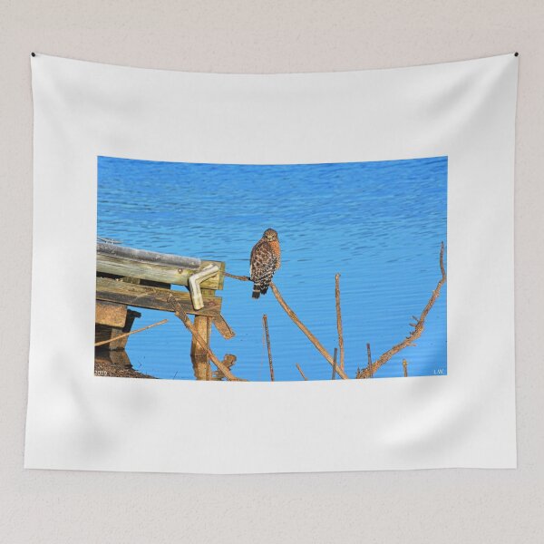 Item preview, Red Shouldered Hawk On Lake Murray South Carolina designed and sold by LisaWootenPhoto.