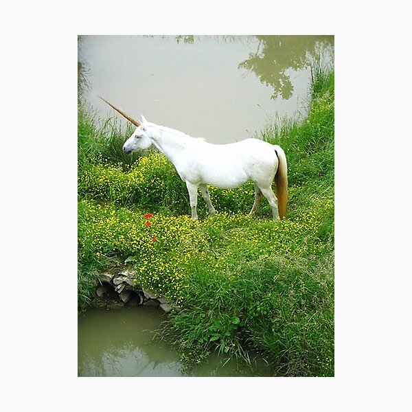 Item preview, Unicorn 1 designed and sold by David VanHattem.