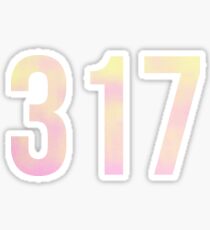 317 Sticker