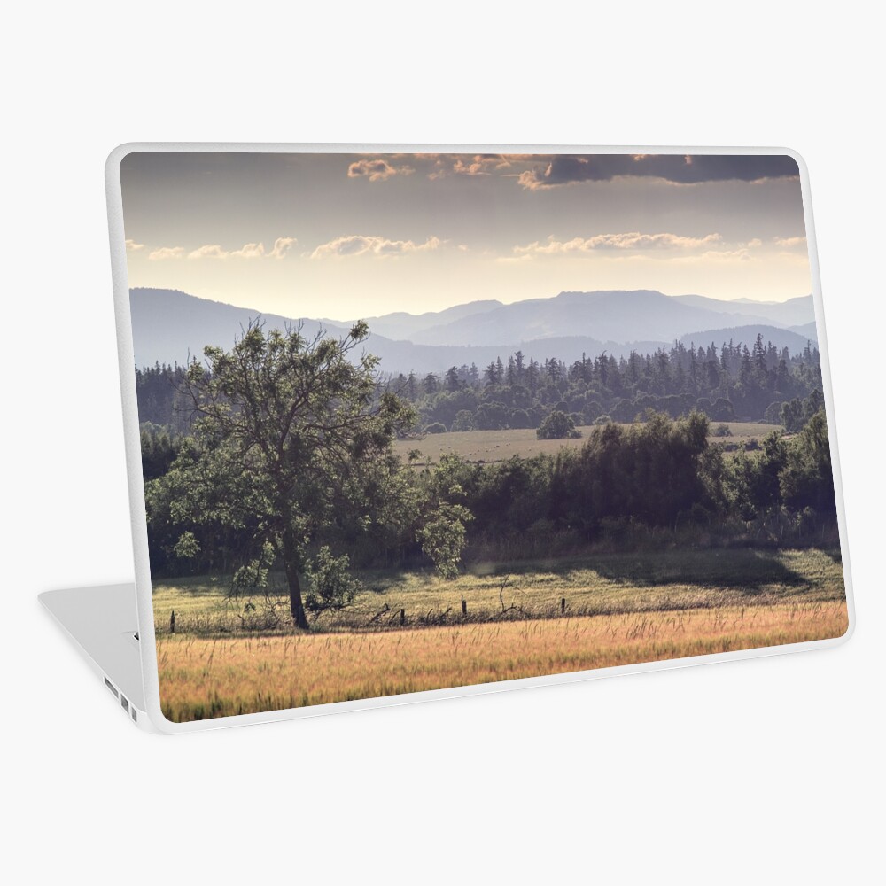 Item preview, Laptop Skin designed and sold by ShinyPhoto.