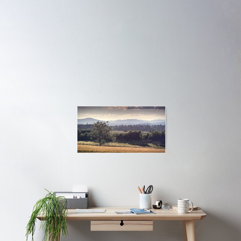 Item preview, Poster designed and sold by ShinyPhoto.