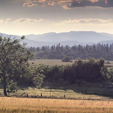 Artwork thumbnail, Sweltering by ShinyPhoto