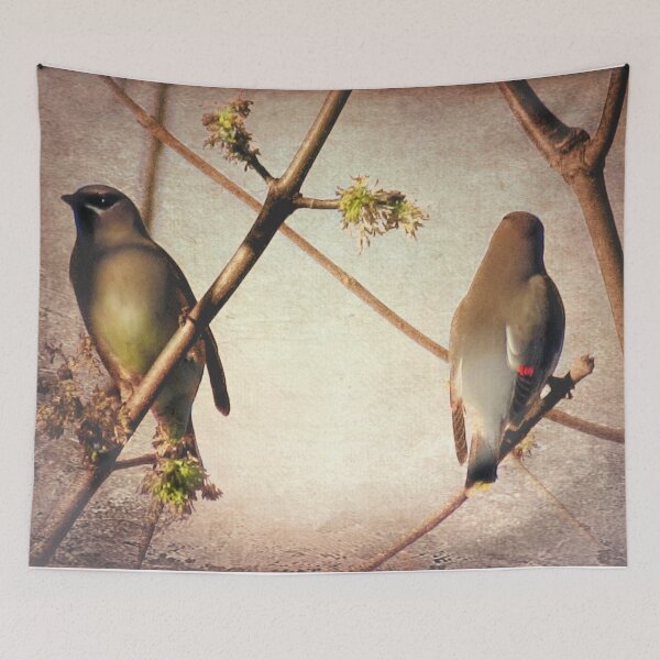 Item preview, Rustic Cedar Waxwing Bird Modern Country Decor Farmhouse Art A398 designed and sold by byNicol.