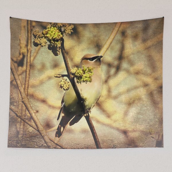 Item preview, Rustic Cedar Waxwing Bird Modern Country Decor Farmhouse Art Matted Picture A390 designed and sold by byNicol.
