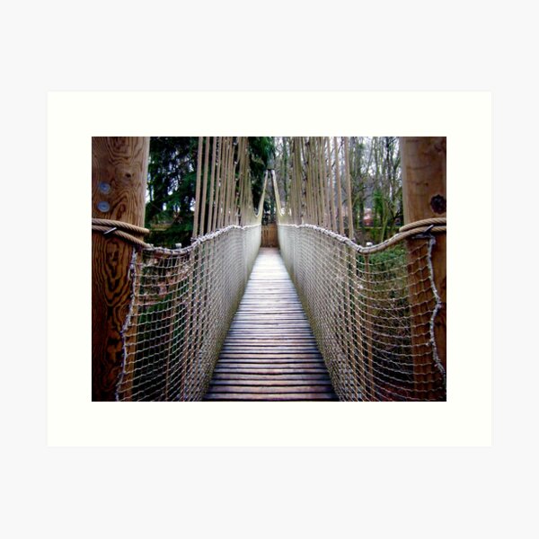 Rope Bridge Art Print