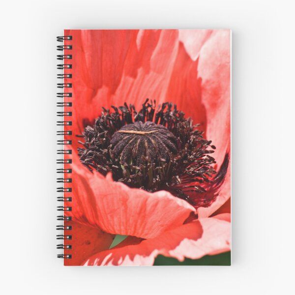 Item preview, Pink Poppy designed and sold by LudaNayvelt.