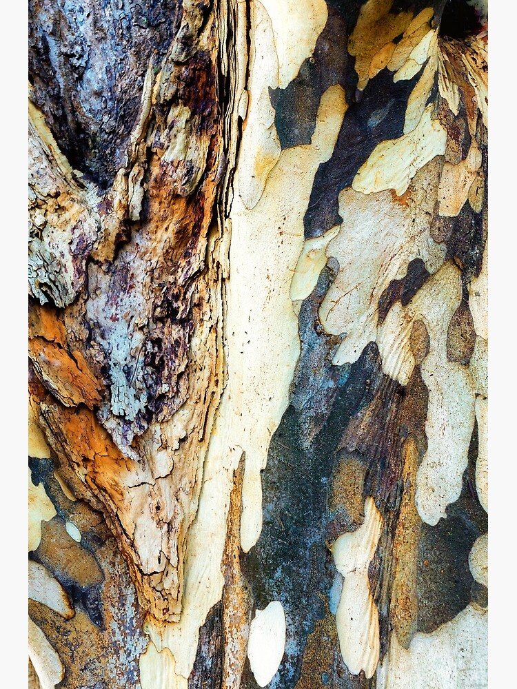 Tree trunk by fardad