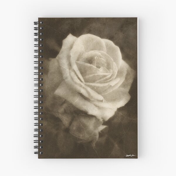 Item preview, Pink Roses in Anzures 2 Antiqued designed and sold by TravelPhotoArt.