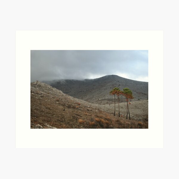 Item preview, Desolate designed and sold by erwina.