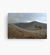 Desolate Canvas Print