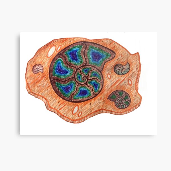 Fossil1 Metal Print