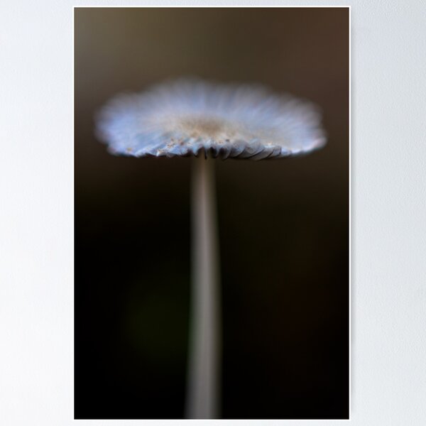 Item preview, frilled designed and sold by annems1.
