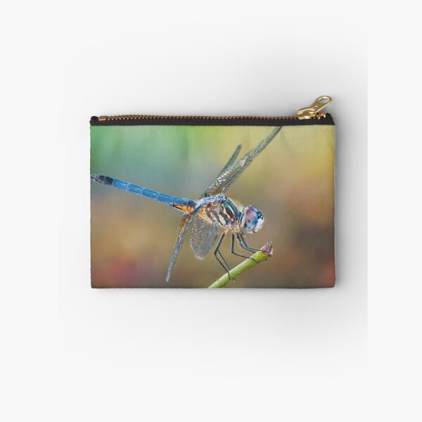 Artikelvorschau, Schneidiger Mr. Blue Dasher entworfen und verkauft von Bonnie T. Barry.