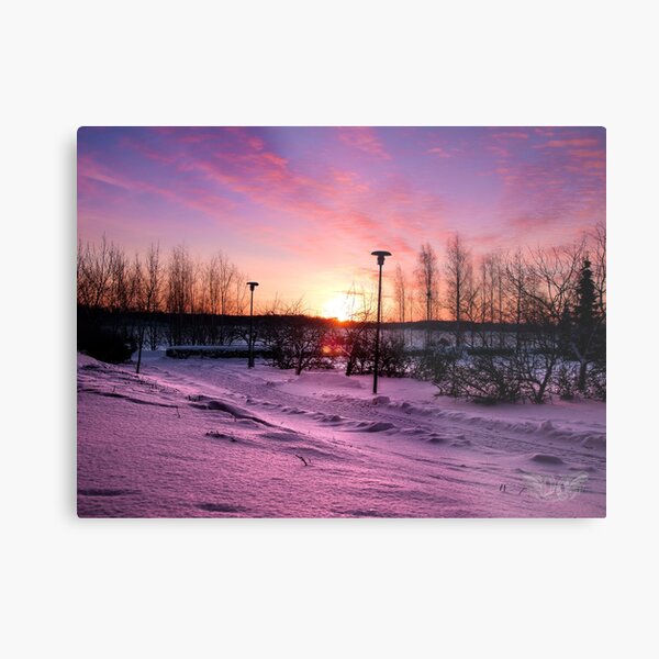 winter sunrise Metal Print