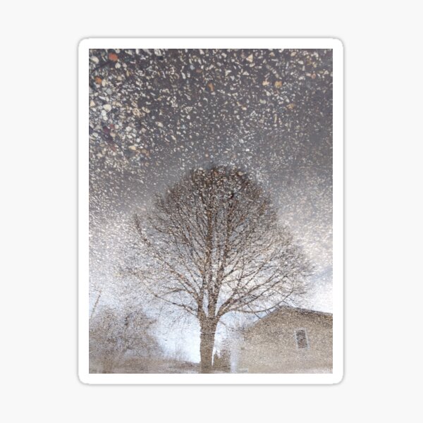 Reflect and Grow Sticker
