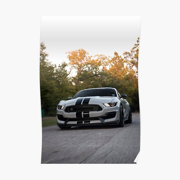 Ford Mustang GT350 Poster