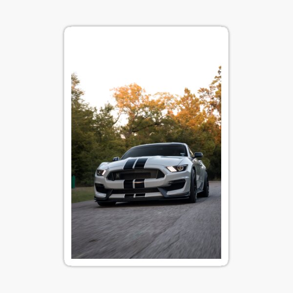 Ford Mustang GT350 Sticker