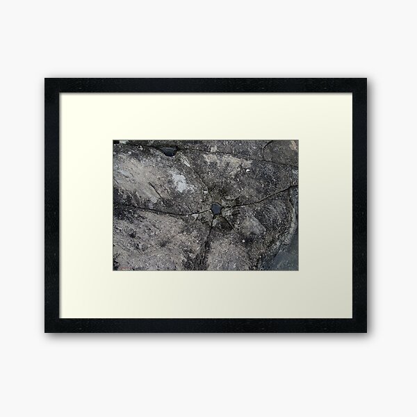 Jewel in a Falls Creek Rock Framed Art Print