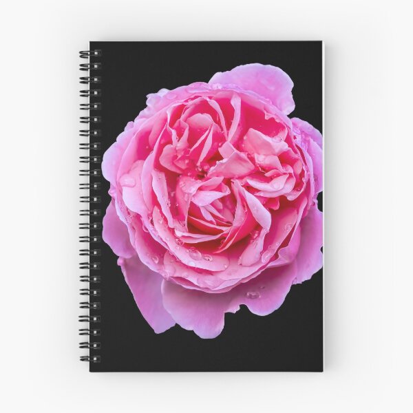 Item preview, Large Pink Rose designed and sold by Graphics By Craig.