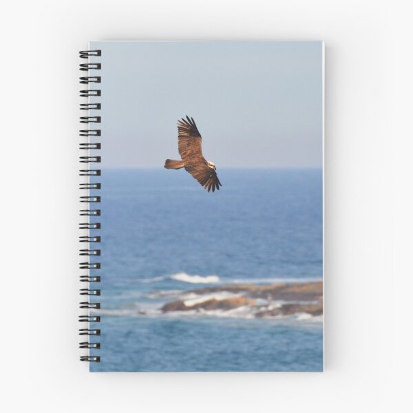 Item preview, Osprey in Flight designed and sold by CodyLaskeyPhoto.