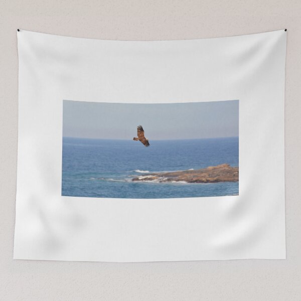 Item preview, Osprey in Flight designed and sold by CodyLaskeyPhoto.