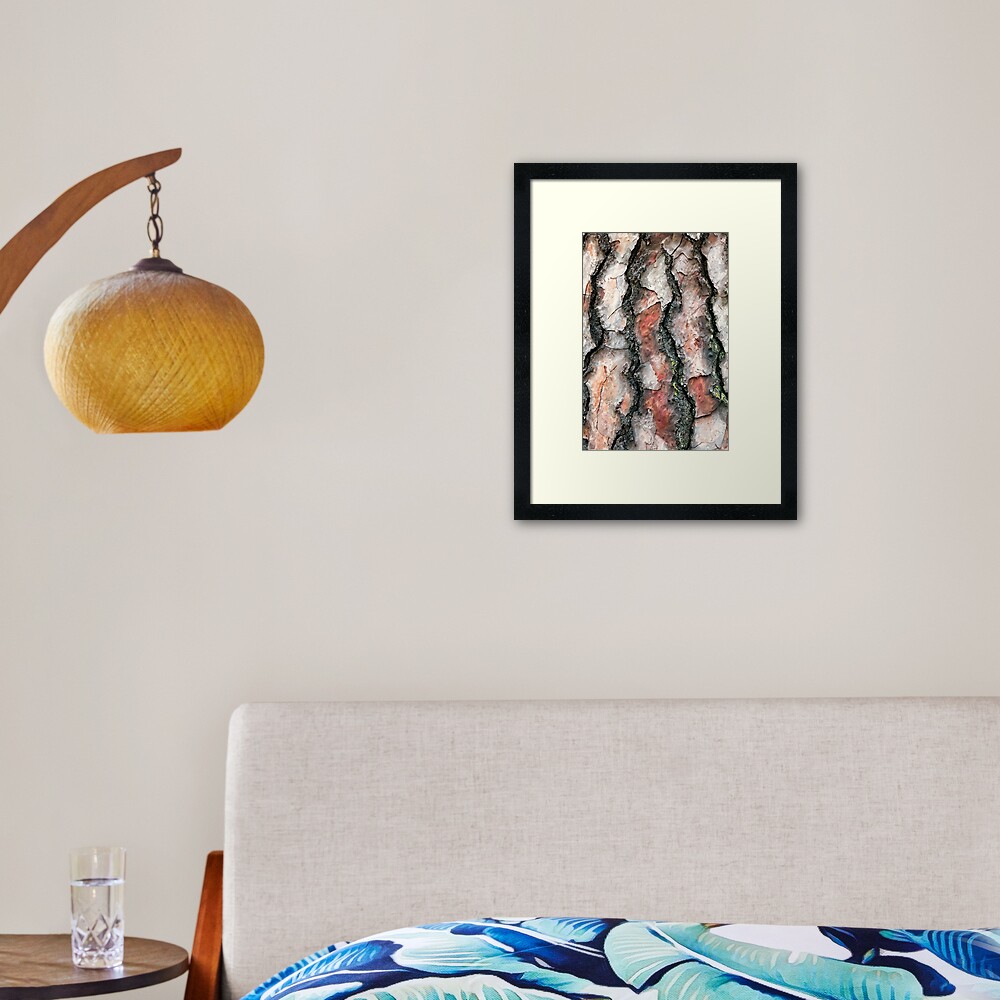 Chir Pine bark Framed Art Print