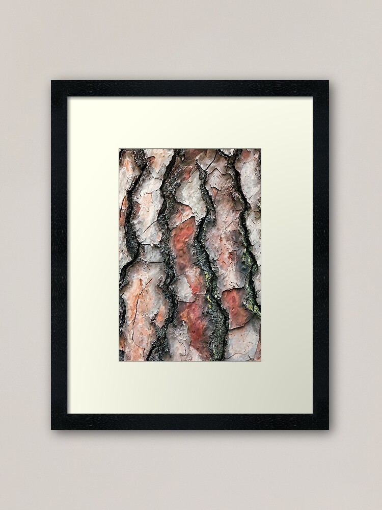 Alternate view of Chir Pine bark Framed Art Print