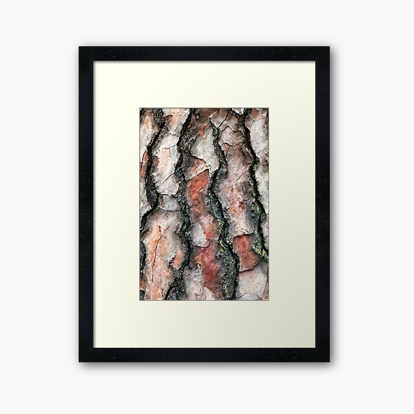 Chir Pine bark Framed Art Print