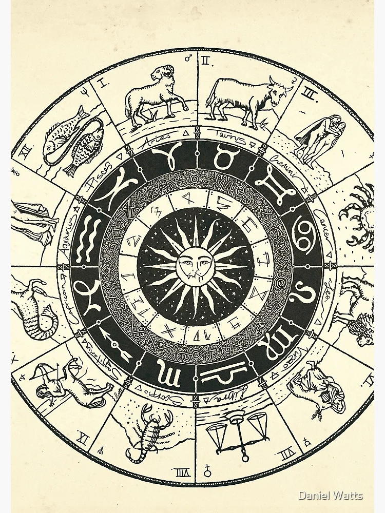 Amazon.com: Paradigm Products Zodiacal Mandala, Astrology