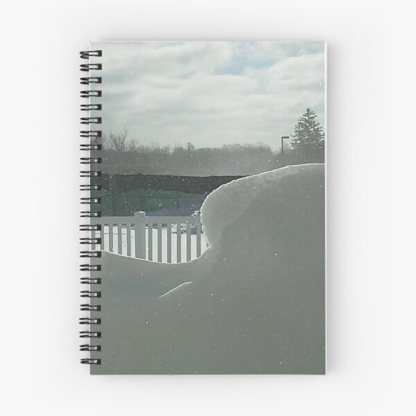 Item preview, DANGEROUS DEEP FREEZE HITS AMERICA 2019 designed and sold by JoAnnHayden.