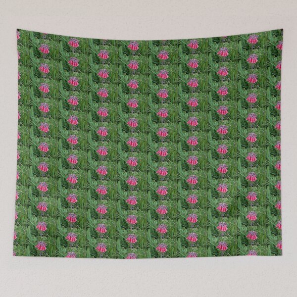 Item preview, Maui Botanic Gardens Study 2  designed and sold by Robert Meyers-Lussier.