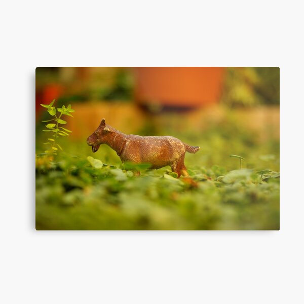 goatee for a moose lover Metal Print