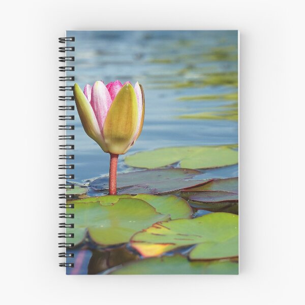 Item preview, One water lilly 01 designed and sold by kevin Chippindall.