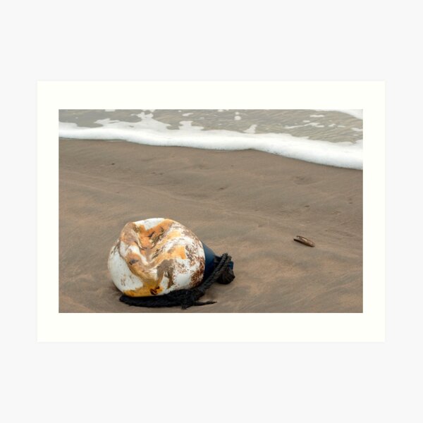 Lost buoy and shell Art Print