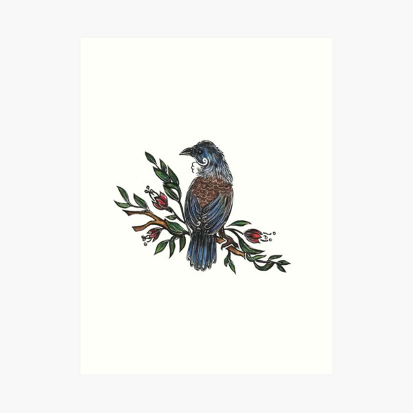 Tui Bird Art Print