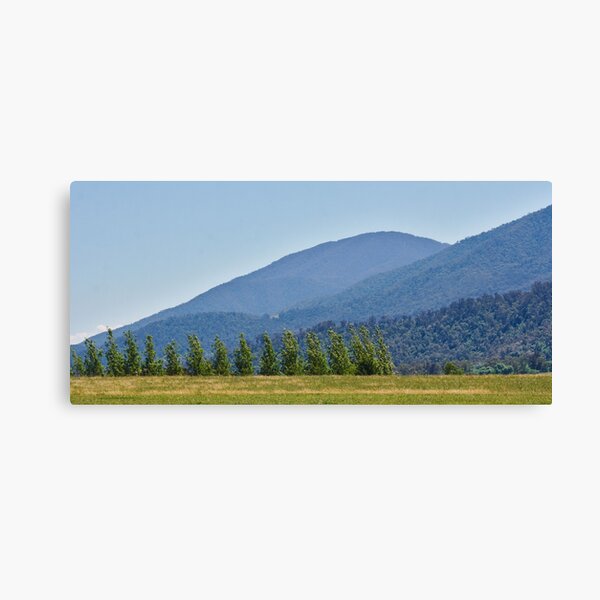 Item preview, Trees In A Row,  Tawonga designed and sold by Joy Watson - Natural Light Photography .