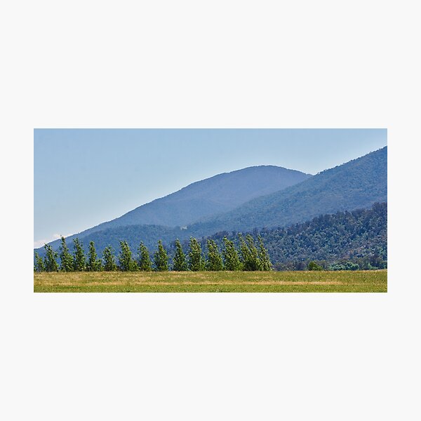 Item preview, Trees In A Row,  Tawonga designed and sold by Joy Watson - Natural Light Photography .