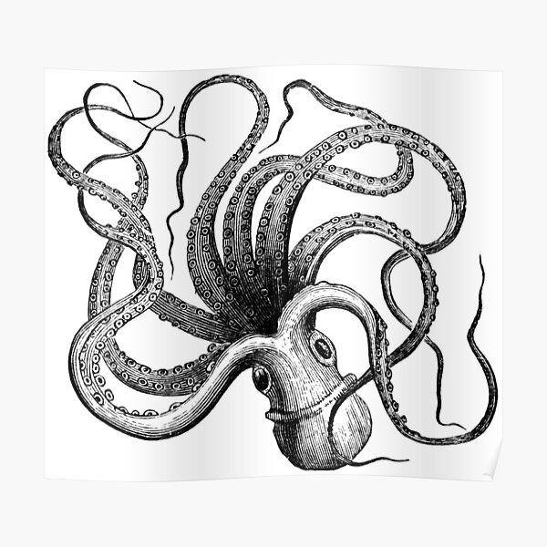 Vintage Octopus Poster For Sale By Argosdesigns Redbubble