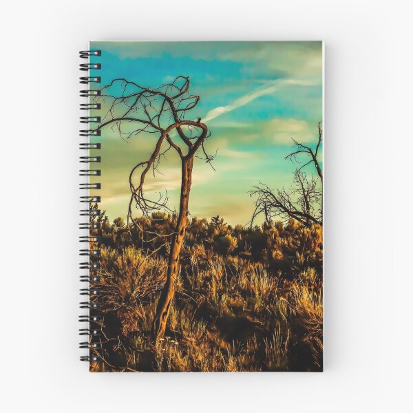 Item preview, sunset #200 designed and sold by Richard Bozarth.