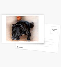 Bored! Postcards